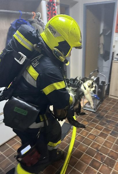 Balkonbrand (Bild 2)